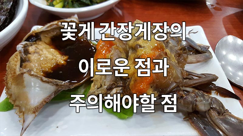 꽃게 간장게장의 이로운 점과 주의해야할 점
Benefits and cautions of crab soy sauce marinated crab
