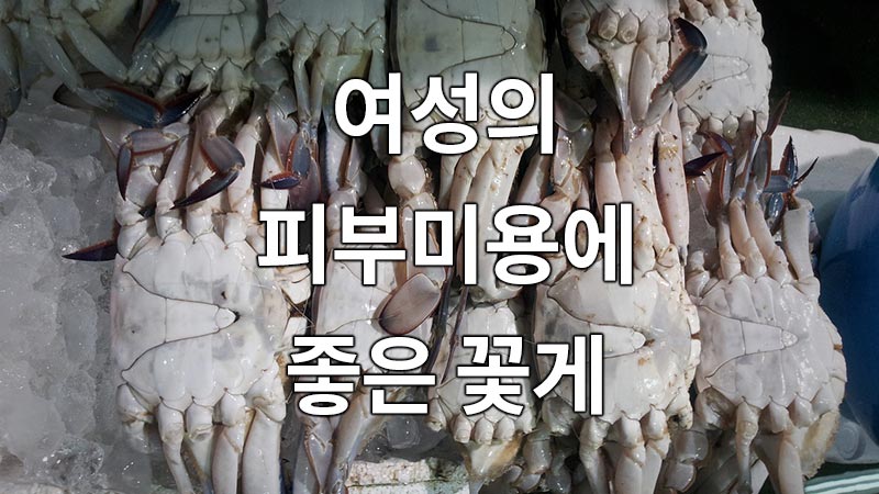 여성의 피부미용에 좋은 꽃게
Crab that is good for women's skin beauty
