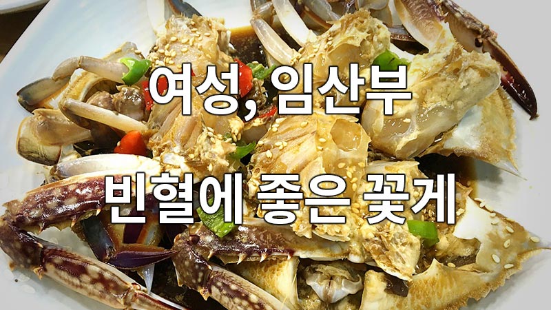 여성, 임산부 빈혈에 좋은 꽃게
Crabs Good for Women, Pregnant Women Anemia
